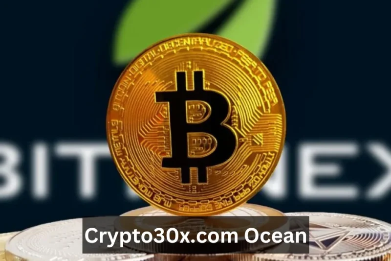 Crypto30x.com Ocean: Exploring the New Wave in Crypto Investment